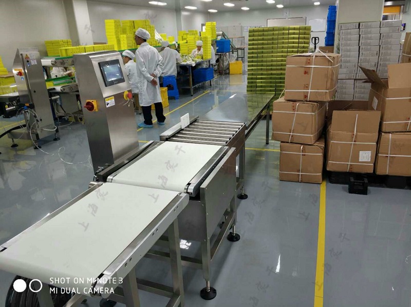 Big Package Bag/Carton Weighing Automatic Checkweigher With Roller Conveyor